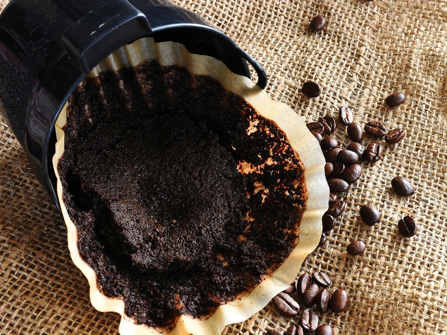 Benefits of Repurposing Coffee Grounds